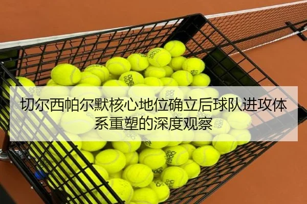 切尔西帕尔默核心地位确立后球队进攻体系重塑的深度观察